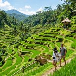 Denpasar to Ubud Day Trip